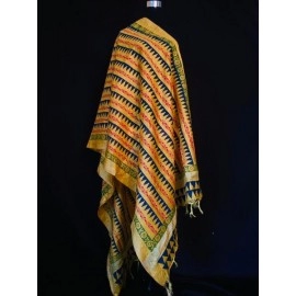 Aartyz Multi Coloured Soft Silk Dupatta