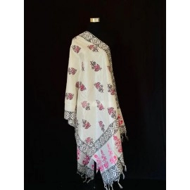 Aartyz Pink and White Dupatta
