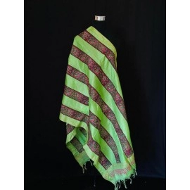 Aartyz Parrot Green Silk Dupatta