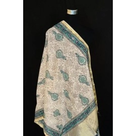 Aartyz Chanderi Silk Floral Dupatta | White