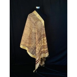Aartyz Light Brown Chanderi Silk Dupatta