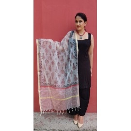 Aartyz White and Red Chanderi Dupatta