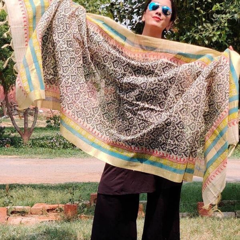 Aartyz White and Brown Chanderi Dupatta