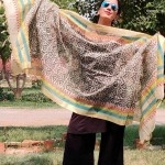 Aartyz White and Brown Chanderi Dupatta