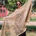 Aartyz Orange Floral Chanderi Dupatta