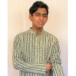 Aartyz Kalamkari Men Vertical Design Kurta
