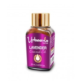 Urbaano Herbal Lavender Essential Oil for Aromotharapy Natural & Pure | 20ml