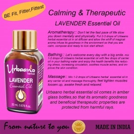 Urbaano Herbal Lavender Essential Oil for Aromotharapy Natural & Pure | 20ml