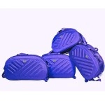 Pack for Your Next Adventure with Backpack villa 60 L Strolley Duffel Bag with Plastic Wheel | Set of 4 | Travel Bag | Duffel Bag | Vacation Bag | Blue