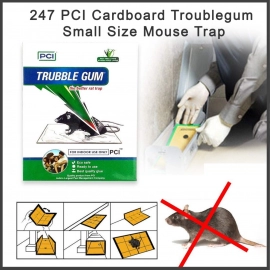 PCI Cardboard Troublegum Small Size Mouse Trap | 1pc