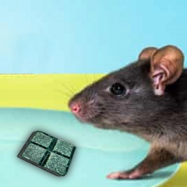 PCI Roban the Rat Killer (Brown) Small