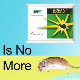 PCI Roban the Rat Killer (Brown) Small