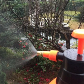 Water Sprayer Hand Held Pump Pressure Garden Sprayer | 2 L