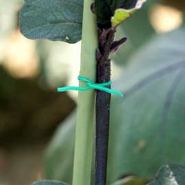 Plastic Twist Tie Wire Spool With Cutter For Garden Yard Plant 50m | Green