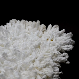 Dust Mop Refill | Replacement Mop Head Only | 50cm X 20cm