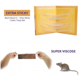Mice, Rat Glue Trap, Rat Glue Boards, Mouse Bond Traps