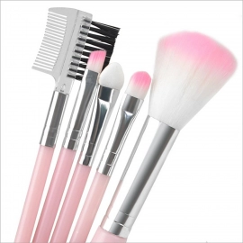 Makeup Brushes Kit | Pack of 5