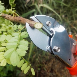  Professional garden scissor with sharp blade comfortable handle | 18cm
