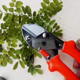  Professional garden scissor with sharp blade comfortable handle | 18cm