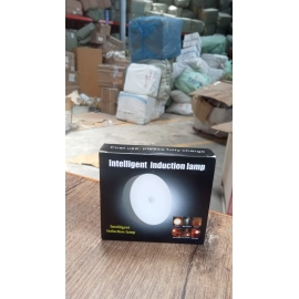 Round Shape 8 LED Motion Sensor Induction Led Light