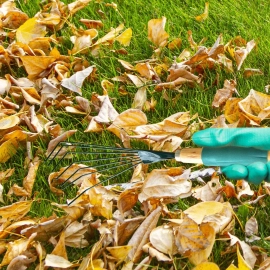 Stainless Steel Tooth Garden Leaf Rake