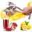 Manual Aluminium And Steel Fruit Press Juicer