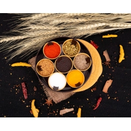 Round Plastic Masala Spice Box