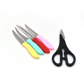 Stainless Steel Kitchen 5Pcs Knife Set With Wooden Stand For Vegetable And Meat Cutting Scissor | Knife Set