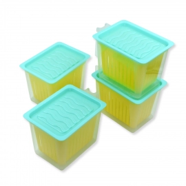 Fridge Storage Containers with Handle Plastic Storage Container for Kitchen | 4 Pcs Set