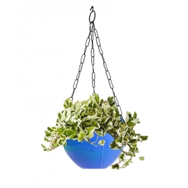 Flower Pot Plant with Hanging Chain for Houseplants Garden Balcony Decoration