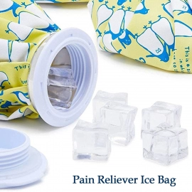 Pain Reliever Ice Bag Used To Overcome Joints And Muscles Pain In The Body