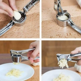 Stainless Steel Garlic Press Crusher
