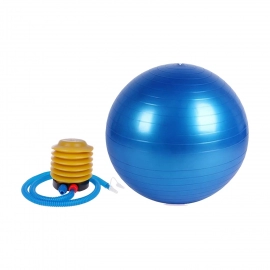 Heavy Duty Gym Ball Non-Slip Stability Ball With Foot Pump for Total Body Fitness