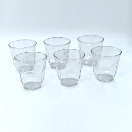  Ganesh Lily Glass Break Resistant Plastic Set Of 6Pcs | 300 Ml
