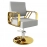 Modern Regular Chair with Hydraulic Lift for Home Office Hotel Cafe Chair | 1 Unit Silver and Gold