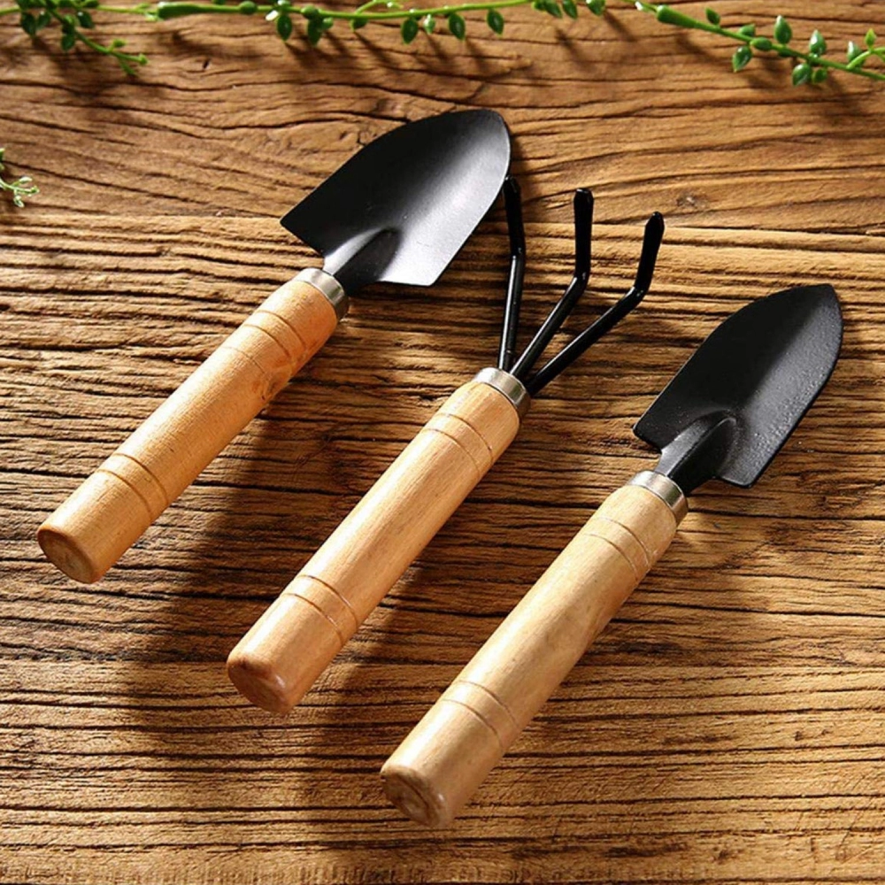 Small sized Hand Cultivator, Small Trowel, Garden Fork | Set of 3