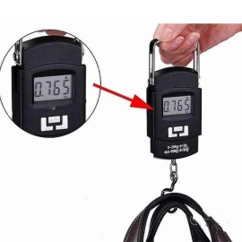 Digital Portable Hook Type Weighing Scale | 50 kg | Multicolor