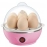 Electric Egg Boiler | 7 Egg Poacher