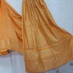 Women's Applique/Cut Work Chanderi Silk Cotton Saree | Peru