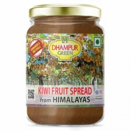 Dhampur Green Kiwi Fruit Spread From Himalayas | No Added Color | Fresh Fruits | 300 gm ( pack of 2 )