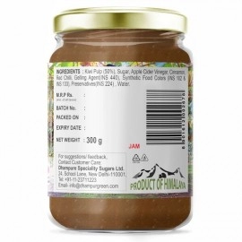 Dhampur Green Kiwi Fruit Spread From Himalayas | No Added Color | Fresh Fruits | 300 gm ( pack of 2 )