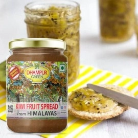 Dhampur Green Kiwi Fruit Spread From Himalayas | No Added Color | Fresh Fruits | 300 gm ( pack of 2 )