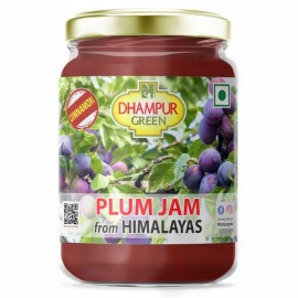 Dhampur Green Plum Jam From Himalayas | No Added Color | Fresh Fruits | 300 gm ( pack of 2 )	