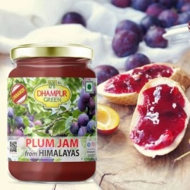 Dhampur Green Plum Jam From Himalayas | No Added Color | Fresh Fruits | 300 gm ( pack of 2 )	