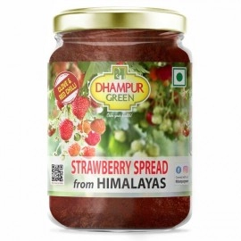 Dhampur Green Strawberry Spread From Himalayas | No Added Color | Fresh Fruits | 300 gm ( pack of 2 )