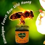 Meetthi Maa |  Raw Forest Bee Honey