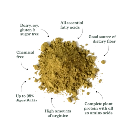 INDUS HEMP | HEMP PROTEIN POWDER | Hemp Seed Powder | Builds Lean Muscle |  Weight Management | Plant Based Vegan Gluten Free Protein | 1Kg