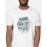 Think Like There Is No Box | SABEZY ESSENTIALS Cotton Regular Men's T-Shirt | White