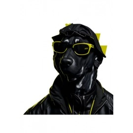 Funky Dog | SABEZY ESSENTIALS Cotton Regular Men's T-Shirt | Black