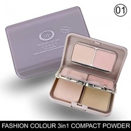 Outstanding Nourish 3 in 1 Compact Powder  |  Fantastic Colour Land for Professional | 27g | Shade 01